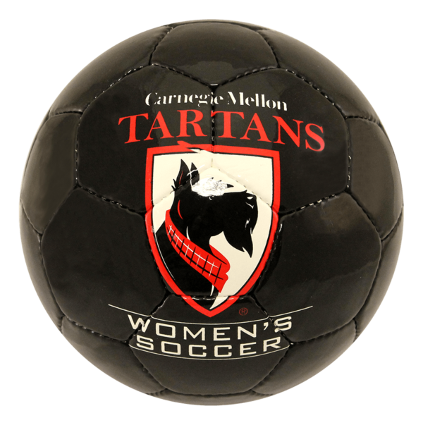 Custom Club Level Match Play Soccer Ball - Example 9