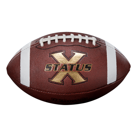 Custom Composite Leather Football