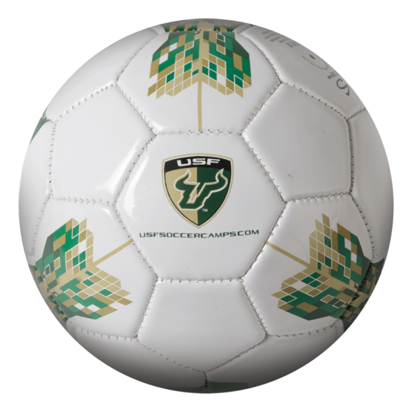 Custom Mini Soccer Ball - Example 4