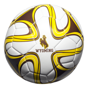 Custom Promotional Grade Soccer Ball - Example 1