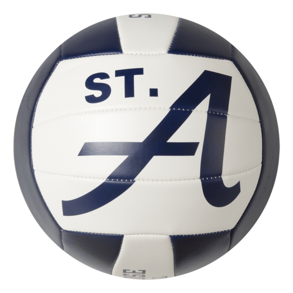 Custom Status XCEL Camp Volleyball - Example 4