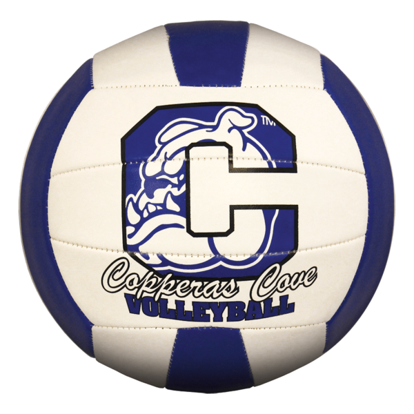 Custom Status XCEL Camp Volleyball - Example 9