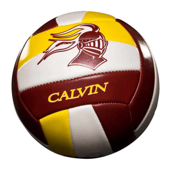 Custom Status Xcel Volleyball - Example 2