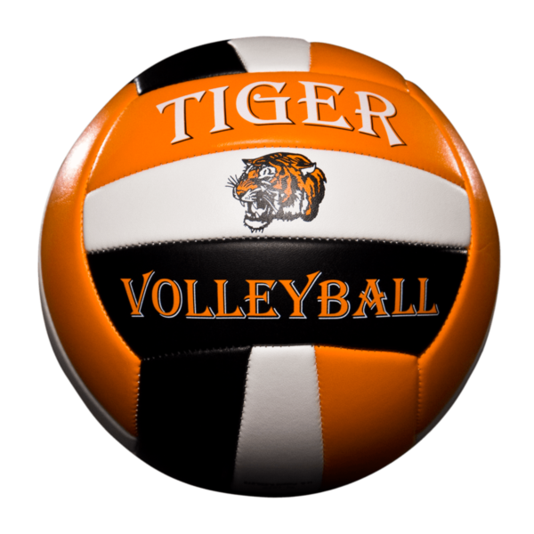 Custom Status Xcel Volleyball - Example 3