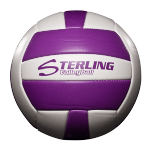 Status Xcel Camp Volleyball - Purple White