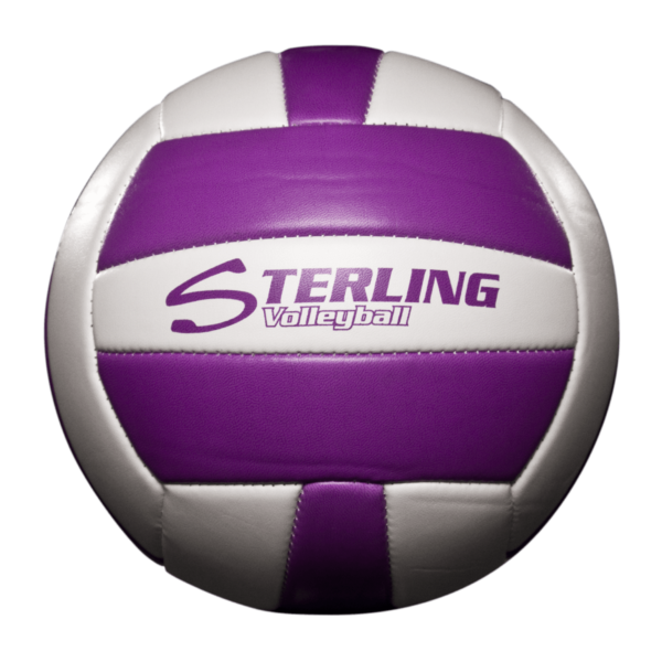 Status Xcel Camp Volleyball - Purple White