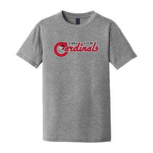Lake View District ® Youth Perfect Tri ® Tee