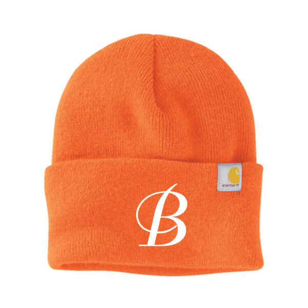 Burkhart Dental Carhartt Watch Cap Beanie